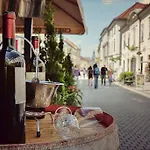 Borostyan Vendeghaz Guest house Eger