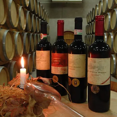 Penzion Borostyan Vendeghaz Eger