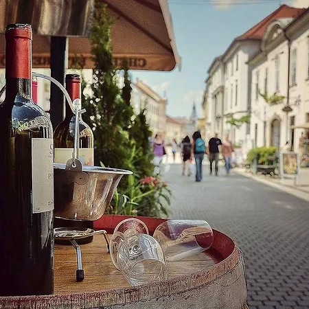 Borostyan Vendeghaz Penzion Eger