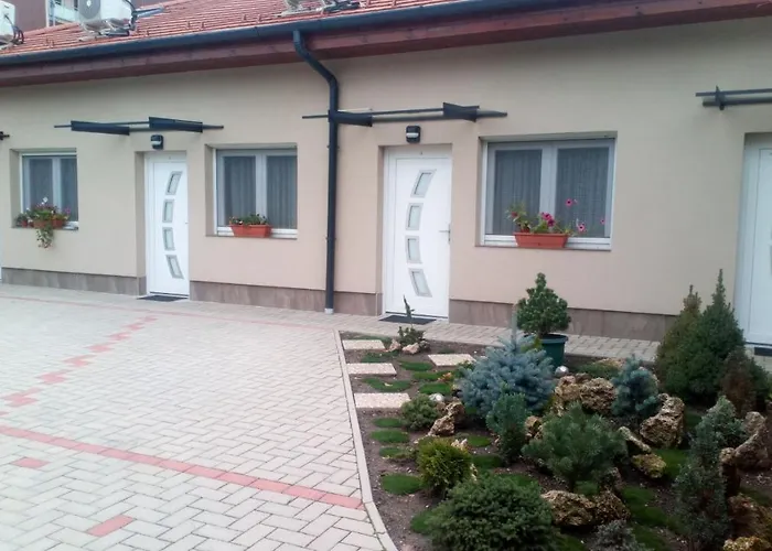 Gasthuis Borostyan Vendeghaz 3*