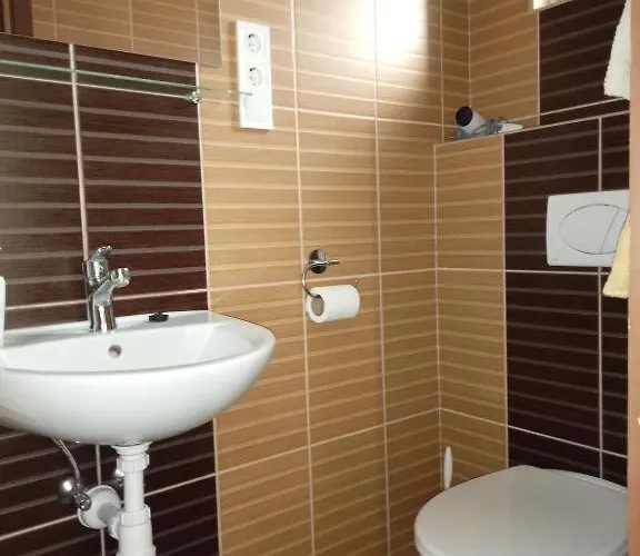 Borostyan Vendeghaz Gasthuis 3*