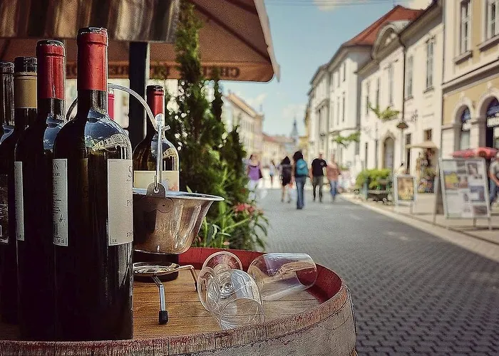 Borostyan Vendeghaz Gasthuis Eger